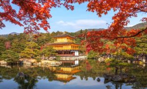 Musim di Jepang: Menavigasi Keempat Musim di Negeri Matahari Terbit